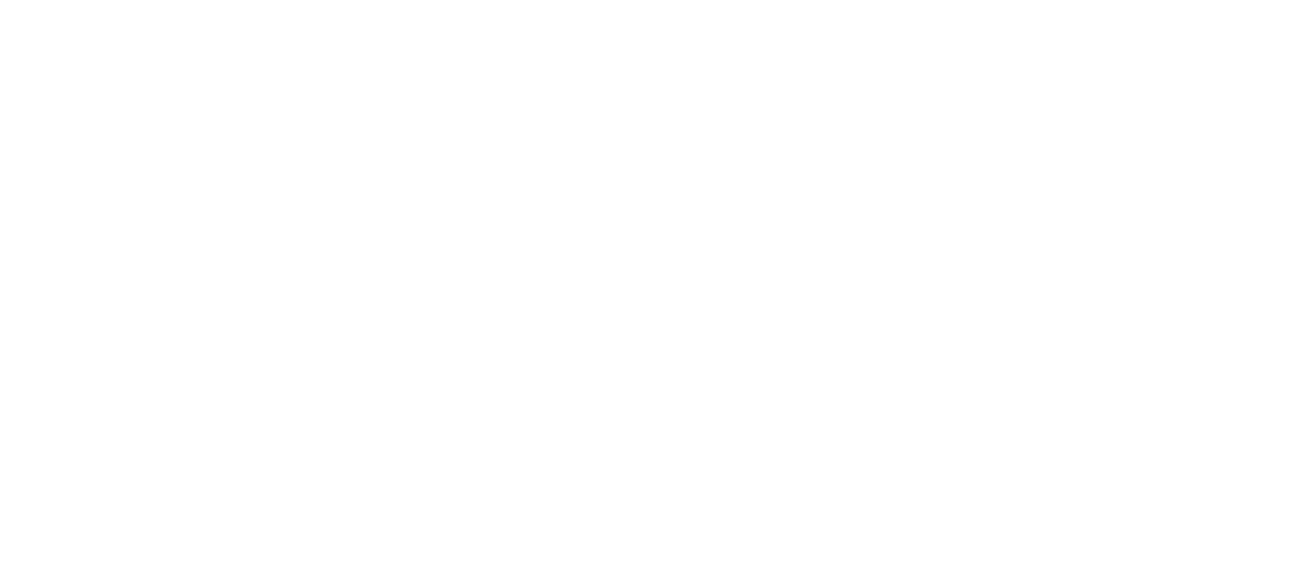 Fleet Feet logo